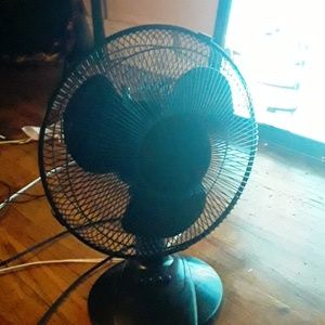 Fan